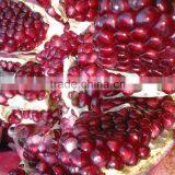 Professional Pomegranate Machine in Fruit,orange Juicer