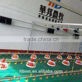 Poultry Drinking Line for Meat Broiler Chickens/Egg Chickens thumbnail-6
