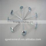 Galvanized Roofing Nail/Roofing Nails With Washer /Umbrella Roofing Nails