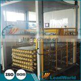 Best Price Automatic canned Kiwi fruit/kiwi berry/actinidia chinensis Palletizer and Unpiler