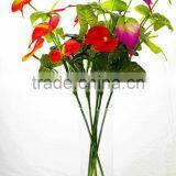 SJ10131015 Artificial Best Anthurium Flower Making thumbnail-1