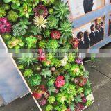 SJ744545 Wall Hanging Artificial Flowers Green Plant Indoor Decoration thumbnail-6