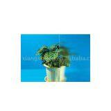 Patterned Glass thumbnail-1