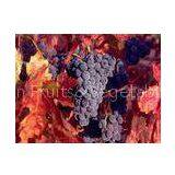 24mm ~ 28mm Fresh Red Garpes , 8kg Per Foam Ctns In Bags thumbnail-1