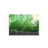 Sell Artificial Turf, Synthetic GrassGT-DSY-50 thumbnail-1