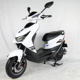 Electric Motorcycle Electric Bike Electric Scooter 2 Wheel 800W for Adults thumbnail-3