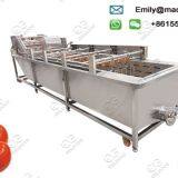 Industrial Tomato Washing Machine thumbnail-2