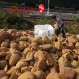 China Topaz Producing Area - Guangdong Topaz Factory - Guangdong Lawn Ornament Wholesale thumbnail-2