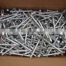 Polish Common Wire Nails /Iron Nails /Pointe Factory Cheap Price thumbnail-4