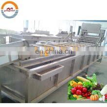 Automatic Citrus Washing Machine Auto Oranges Lemon Grapefruit Orange Fruit Air Bubble Cleaning Line Cheap Price for Sale