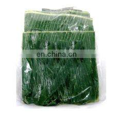 100% Natural Fresh Banana Leaf From Vietnam thumbnail-5