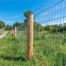Farm Field Cattle Horse Goat Deer Wire Mesh Fence Barrier Wholesale Sustainable Hot Dipped Galvanized Steel Livestock Fence Ro thumbnail-1