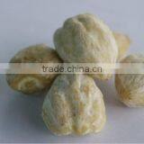 Candle Nut thumbnail-1