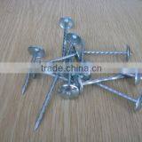 Galvanized Roofing Nails With Umbrella Head/umbrella Head Nails /galvanzied Roofing Nail thumbnail-5