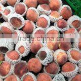 Fruit Foam Package Sock thumbnail-5