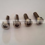 Round Head Inside Dodecagon Titanium Screw for Bicycle