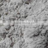 Diatomaceous earth/ Diatomite Absorbent