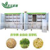 Hot Sale Automatic Bean Sprout Growing Machine, Bean Sprouting Machine,Bean Sprout Machine Price
