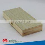 Individual Slides You Can Choose Educational Student Histology Microscope Prepared Slides of Epiglottic Cartilage Sagittal Sec thumbnail-2