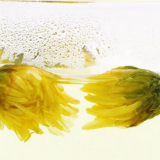 Chamomile Tea thumbnail-2