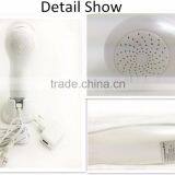 Factory Wholesale Price Multi-purpose Galvanic Ance Removal Skincare Equipment thumbnail-1