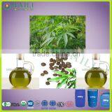 Organic Hemp Seed Oil Refined Bulk thumbnail-1