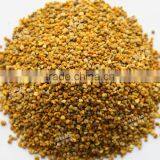 Careful Selected Pure Motherwort Bee Pollen