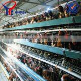 Plastic Chicken Cage for Transportion thumbnail-1