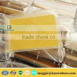 250g Plasttic Honey Storage Box For Comb Honey