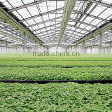 Agriculture /garden Commercial Greenhouse For Sale thumbnail-3