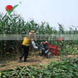 Best Selling CE Corn Harvester Mini Harvester Cutter thumbnail-2
