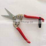 Stainless Steel Pick Fruit Scissors With Red Handle thumbnail-2