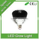 24W 36w 45w 54w LED Grow Light w/ Red & Blue LED Spectrum for Indoor Plant Growing thumbnail-4