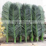 CHY070905 Indoor & Outdoor Palm Tree Leaf Products thumbnail-3