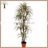 Fake Dracaena Plant With Red Pot for Indoor Decoration thumbnail-1