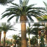 Eco-friendly High Imitated Artificial Palm Tree for Landscape Decoration thumbnail-1