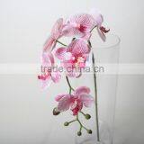Plastic Butterfly Orchid Artificial Butterfly Orchid Decorative Flowers for Promotion thumbnail-3