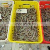 Frozen Vannamei HOSO thumbnail-1