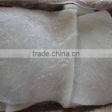 Frozen Giant Squid Peru Fillet