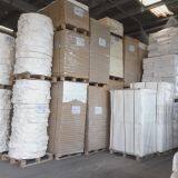 Сырье для бумажных стаканов, бумага с полиэтиленовой обмазкой в рулонах/в листах, фанера для бумажных стаканов thumbnail-4