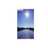 Solar Module (240W Polycrystalline) thumbnail-1