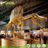 Life Size Dinosaur Fossil Model Replica Spinosaurus