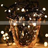 10m Waterproof 100 LED String Decorative Lights With End Joint & Controller, Flashing / Fading / Chasing Effect, EU Plug, AC 220