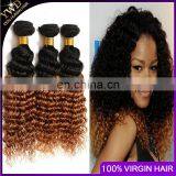Ombre Hair Extensions Brazilian Virgin Hair Deep Curly 3Pcs Brazilian Ombre Curly T1B/30 Hair Extension Dropship 10-26INCH thumbnail-1