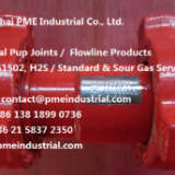 Integral Pup Joint 2 thumbnail-5