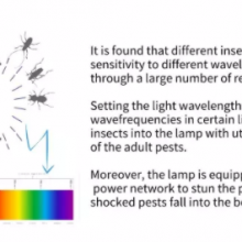 Sustainable Product Solar Insect Trap and Insect Light With Trap for Greenhouse thumbnail-3