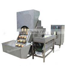 Factory Direct Sale Allium Cepa Peeling Machine Oignon Peeling Machine
