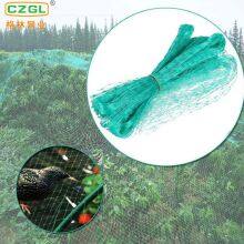 Anti-bird Net China Supplier,Bird Netting 50' X 50' Net Netting For Bird Poultry Avaiary Game Pens New thumbnail-4