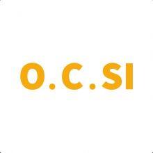 Inner Mongolia Xinggu Technology Co., Ltd.