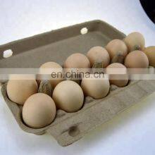 Waste Paper Recycle Used Egg Tray Machine/automatic Paper Pulp Egg Tray Production Line/small Machine Making Egg Tray thumbnail-3